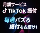 月額サービス｜TikTokダンス振付します 毎週更新！バズるダンス振付サブスク イメージ1