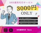 あなたの代わりに“伝わる”SNSを丁寧に運用します 格安 × 実力主義！納得で選ばれています イメージ1