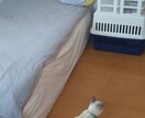 1部屋丸ごと断捨離/部屋の片付け7日間伴走します 簡単な捨て活を実践/景色が変わればあなたの意識が変わります♪ イメージ6
