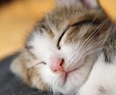 長年不眠症を経験した私が睡眠の悩み、相談に乗ります 不眠の辛さはなった人にしかわかりません。気楽にどうぞ イメージ1