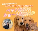 大型犬出演！ペット用品のPR用リール動画を作ります 最高100万再生超えの愛犬家が、縦型ショート動画を制作します イメージ1