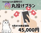集客サポート♪1か月インスタ運用代行します 1か月お試しで、インスタ運用丸投げしませんか？ イメージ1