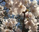 別居・離婚を迷われている方、相談にのります 別居〜調停〜裁判を経験し、養育費減額調停は2回経験。 イメージ1