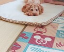 つらくない？話ます 心の病、少しでも和らげます(*´꒳`*)♡ イメージ1