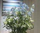心の悩み寄り添いながら的確なアドバイスします 私独自の視点から、そして第六感で感じるメッセージ伝えます。 イメージ1
