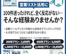 コミコミプラン　問い合わせフォーム送信代行します 【今だけ無料】送信結果スクショ、送信結果エクセル イメージ1