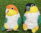 羊毛フェルト大きめオウムブローチオーダー作製します 大きめでインパクト＆高級感迫力があり、リアルで可愛いです イメージ1