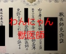 現役獣医師に直接質問！　犬猫の相談なんでものります あなたの心配をお聞かせください イメージ1
