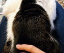 学校、恋愛、仕事などの✨悩み相談✨募集してます YouTubeに声があるので参考に✨お話だけでも大丈夫ですよ イメージ4