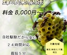 バナー・ヘッダー・サムネ・SNS画像作成いたします ご希望の内容をお聞かせください イメージ3