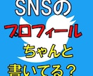 SNSで稼ぐにはプロフィールが重要！秘密教えます 35年の営業経験が教えるプロフィールに外せない5つのポイント イメージ1