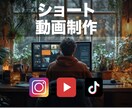 ご要望に合わせた各種ショート動画を制作いたします バズ動画や収益化目指した動画など、リクエストにお応えします！ イメージ1