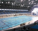 水泳メニュー作成【一人での練習が気が楽な方必見】 イメージ1
