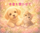 アニマルコミュニケーションで本音を聞きます 小さな迷いを解決／ペットさんの意思確認／本音のメッセージ付き イメージ1