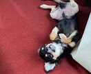 愚痴でも何でもお話しお聞きします 愚痴をお話ししてもらいストレス解消していただきたいです！ イメージ4