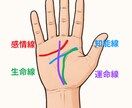 即日鑑定！入門編！ワンコイン鑑定！手相占います 4大基本線だけのやさしい鑑定｜生命感情知能運命をワンコインで イメージ2