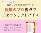 初心者向け⭐︎2ヶ月分の入力済仕訳をチェックします 会計ソフトの帳簿データの間違いを見つけて改善アドバイスします イメージ1