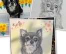 大切な家族のペットのイラストを水彩色鉛筆で描きます 優しい水彩鉛筆の雰囲気、世界に一つだけのペットのイラスト イメージ3