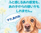 アニマルコミュニケーション/あの子の心の声伝えます あの子の想い、あなたへ伝えたいこと受け取ってみませんか？ イメージ2