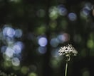 アゲ鑑定なし✴︎全て見通し願望成就へと導きます 恋愛/仕事/金運/人生/不安な今から希望の未来へと導きます イメージ6
