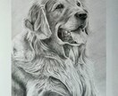 犬・猫を鉛筆画でリアルな似顔絵を描きます お気に入りの画像を絵にして飾ってみませんか‼️ イメージ6