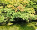 話し相手や愚痴こぼしの場所になります 皆んなのお話相談所あなたのお話最後まで聞きます イメージ1