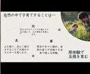 子育ての苦しい悩み、いくらでも聴きます 現役の保育士から子育てのお悩み、園選びのポイントのアドバイス イメージ5