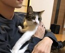 たくさんの人とお話しします 高校生男子です！たくさんの人とお話ししたいです！ イメージ1