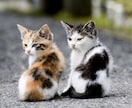 指定された1週間のアドバイスを占います 毎日の幸運になる鍵を探しているあなたへ イメージ3