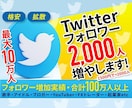 Twitterのフォロワー【2000人】増やします Twitter集客・フォロワー増やし・宣伝・拡散手伝います！ イメージ5