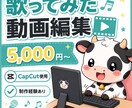 歌ってみた動画を編集します 低価格で歌ってみた動画を丁寧に編集します イメージ1