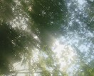 あなたの気持ちにそっと寄り添います 安心して話せる居場所になります イメージ1