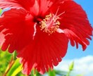 心の悩みを聞きます 明日の自分を輝かせたい方へ　全力でサポートいたします。 イメージ1