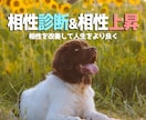 オールジャンル対応の相性診断&相性上昇を提供します 様々な物との相性がわかり、上昇も出来る！ イメージ1