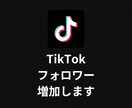 TikTokのフォロワーが増えるよう拡散します TikTok | 1000フォロワー増加 | 減少なし イメージ1
