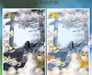 SNSや広告用の写真をレタッチします 写真の雰囲気を活かして自然にレタッチします イメージ3