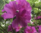 どんな人？？に答えます まずはお相手を知りたい方にオススメ♡ イメージ1