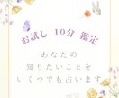 お試し10分鑑定★気になる悩みをサクッと占います ちょっと聞いてみたい！そんな方にぴったりです イメージ1