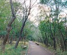 仕事を辞めたい、転職どうしよう？等の相談に乗ります ◆会社に行きたくない職場の人間関係が苦痛など全てお話ください イメージ5