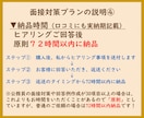 面接対策　プロが想定質問50問抽出/回答作成します 回答ポイント解説/アドバイス付　総販売実績1600件突破 イメージ5