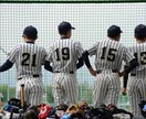 野球の撮影いたします 大切な野球の試合の思い出を残します。 イメージ1