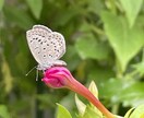自分を愛せるよう滞りを流し癒しのヒーリングします クリスタルヒーリング☆心身緩ませ自然の状態に戻したい方へ イメージ2