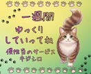 猫的距離感✭ゆっくり/のんびりメッセージ贈ります テリトリ共有の七日間【ゆっくりしていってね】最終日は…❣❣ イメージ1