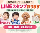 お子さま・ペットの写真でLINEスタンプ作成します お気に入りの表情に言葉を添えて、家族で毎日使えるスタンプに！ イメージ1