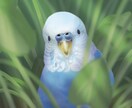 ペットや動物を魅力的な挿絵風イラストにお描きします 〜A4◎書籍・ノベルティの挿絵、SNSアイコン・ヘッダー等に イメージ3