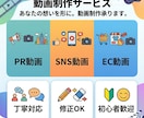 売れる商品PR・EC・SNS動画を制作します 商品の魅力をしっかり伝える動画を作ります イメージ2