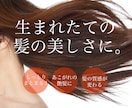 10名様限定最安値！バナー制作します バナーを新しく作られたい方！ぜひお任せ下さい！ イメージ1
