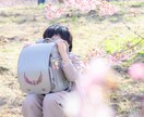 桜ロケ撮影｜5カット5,000円〜｜お撮りします 入園入学にも/全データプランあり/ペットOK/ママカメラマン イメージ2