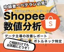 Shopee売れない原因をデータで特定します アクセス・転換率の伸び悩みを解消！客観データで売れる店舗へ イメージ1