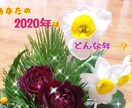 貴女の2020年をオラクルカードリーディングします 天使からのメッセージ、来年気をつけること、ラッキーアイテム イメージ2